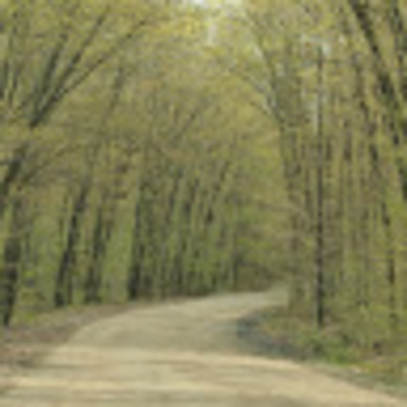 Meet your Posher, Laura - Picture 1 of 1